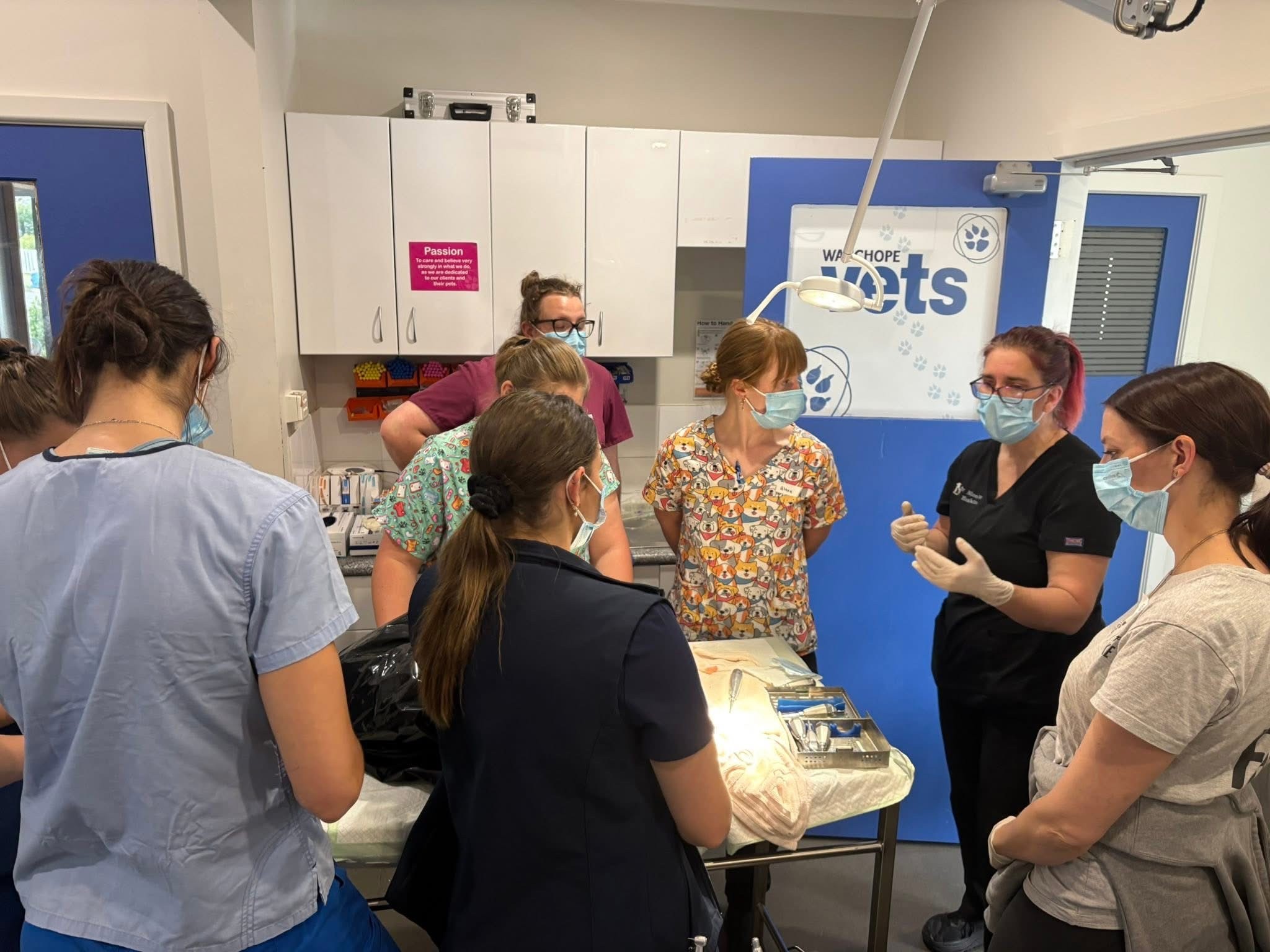 Dental Training