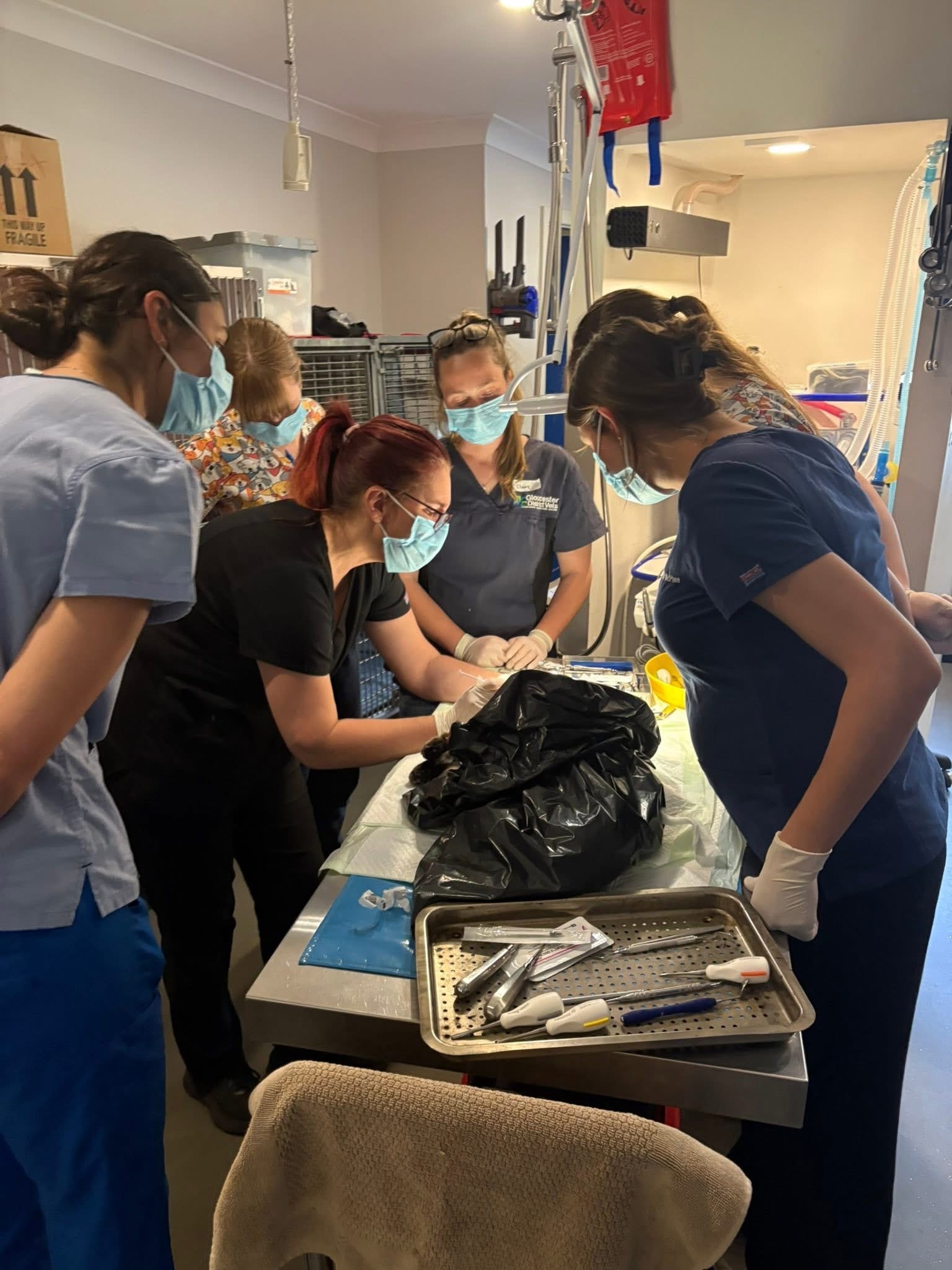 Dentistry Training